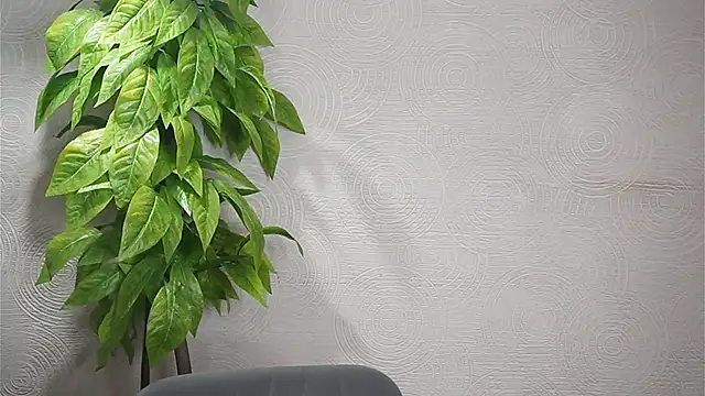 GwenBottrellv online show from 02-07-25, 09:48