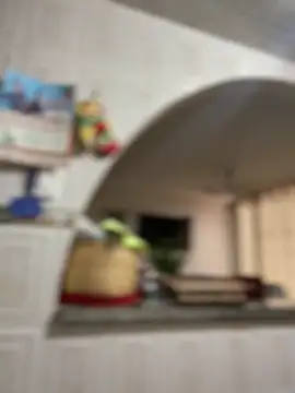 Carola-Ross online show from 04-17-26, 05:38