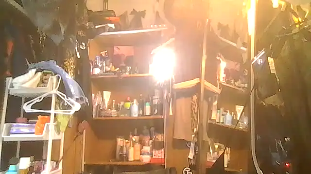 ShysluutGia online show from 01-31-26, 10:08