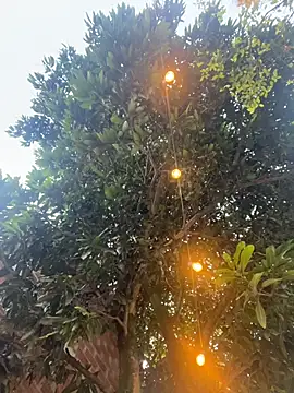 Snapshot of aurora_coldd chatting on 10-27-25, 10:22 aurora coldd online show from 10-27-25, 10:22