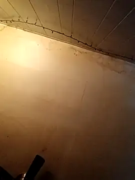 birdg online show from 10-27-25, 07:15