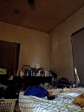 birdg online show from 11-17-25, 04:55