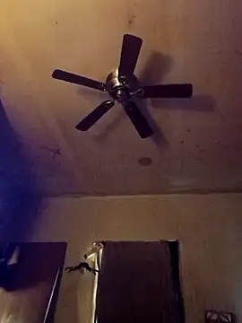 birdg online show from 11-13-25, 06:12