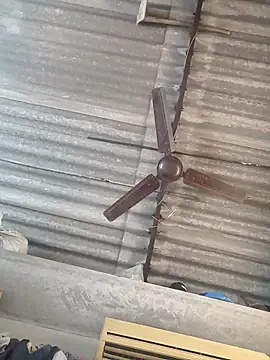 lovely----bhabhi online show from 11-24-25, 03:39