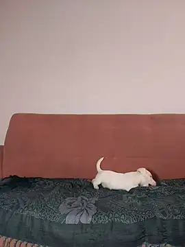 Snapshot of Jehan_Soto chatting on 09-09-25, 05:11 Jehan Soto online show from 09-09-25, 05:11