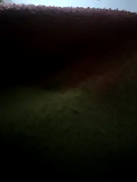 Snapshot of urrubybaby chatting on 02-17-25, 03:00 urrubybaby online show from 02-17-25, 03:00