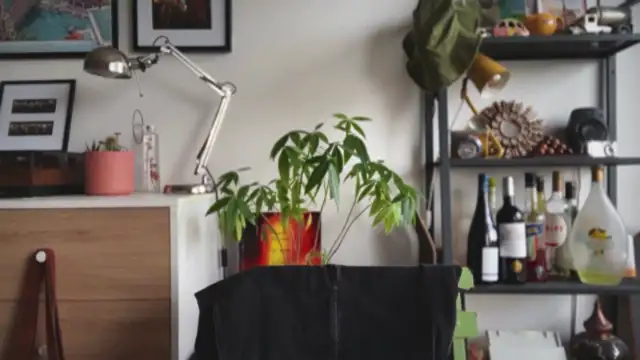 MikymikeBBWD online show from 01-14-26, 10:41