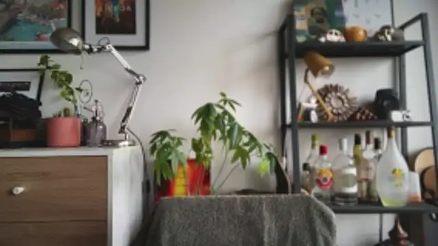 Snapshot of MikymikeBBWD chatting on 02-24-26, 02:18 MikymikeBBWD online show from 02-24-26, 02:18