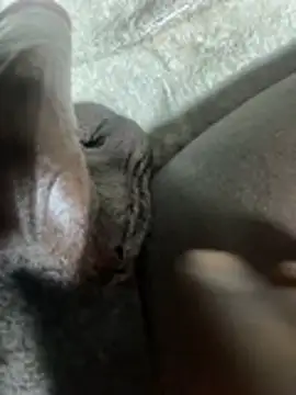 BlaccZhakky online show from 01-14-26, 01:04