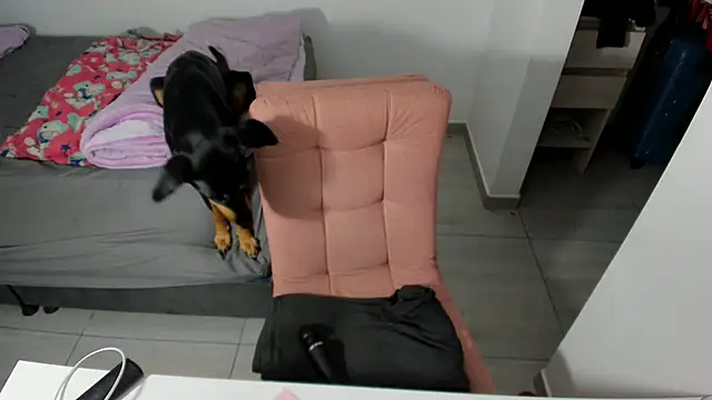 Greciaruiz  online show from 04-15-26, 01:22