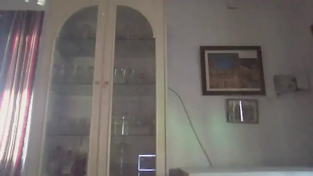 llopaco online show from 11-28-25, 02:17