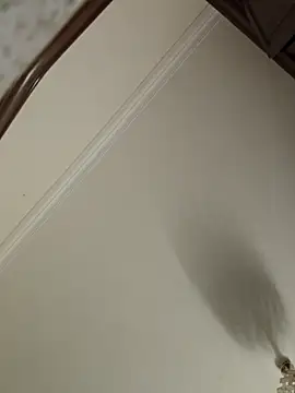 Loly2025 online show from 04-19-26, 01:17