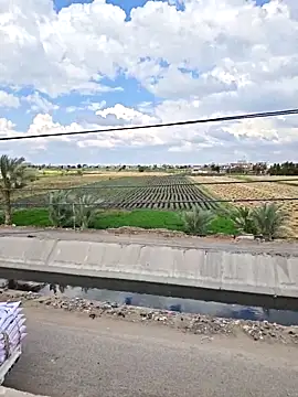 Loly2025 online show from 04-07-26, 01:24