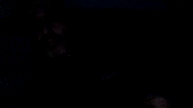 Snapshot of Novabear6996 chatting on 02-28-25, 10:30 Novabear6996 online show from 02-28-25, 10:30