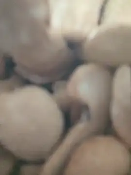 Khiro phnoe online show from 02-08-26, 09:12