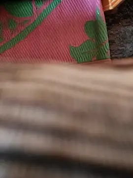 cocktony online show from 01-13-26, 09:35