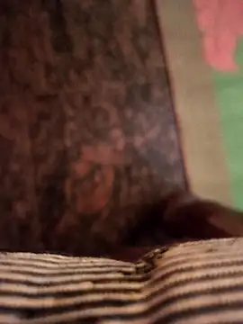 cocktony online show from 11-07-25, 10:31