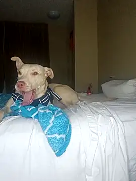 KingSlim56 online show from 12-18-25, 02:05