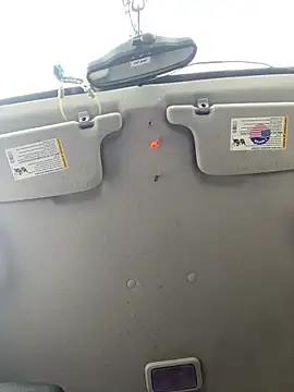 QueenM3 online show from 11-15-25, 05:17