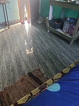 HorNy Bro Sis online show from 01-13-26, 06:06