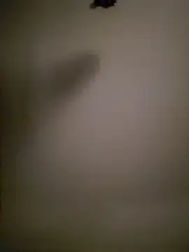 Snapshot of Mrnutella chatting on 03-03-25, 02:22 Mrnutella online show from 03-03-25, 02:22