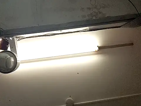 Snapshot of Mrnutella chatting on 09-19-25, 08:57 Mrnutella online show from 09-19-25, 08:57