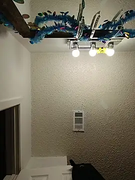 HTXBELLE online show from 02-23-26, 10:10