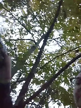 HTXBELLE online show from 11-29-25, 11:05