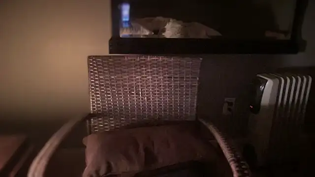 DominantDong online show from 02-28-25, 11:25