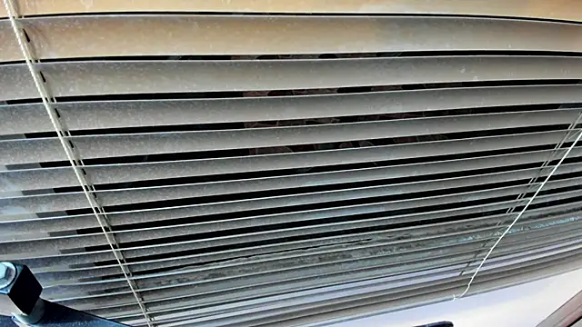 SaraClub JY online show from 10-21-25, 10:42