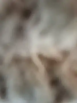 mauroxx08 online show from 04-05-26, 03:19