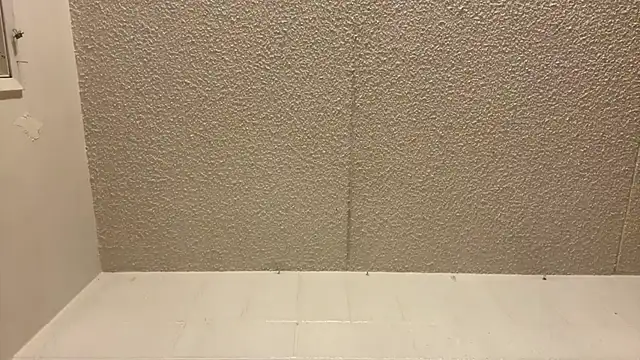 ashisscene online show from 06-04-26, 06:29