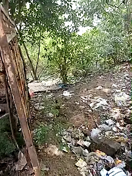 bairobunde online show from 09-25-25, 04:18