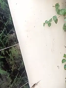 bairobunde online show from 04-17-26, 08:17