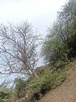 bairobunde online show from 02-02-26, 09:52