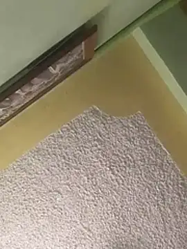 calme odl1 online show from 03-24-26, 10:26