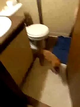 taterae online show from 10-19-25, 05:21