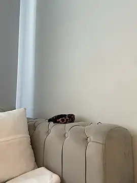 laraaaaaa online show from 02-12-26, 07:41