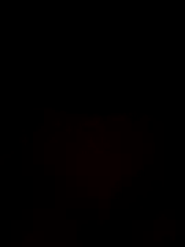 laraaaaaa online show from 10-29-25, 12:20