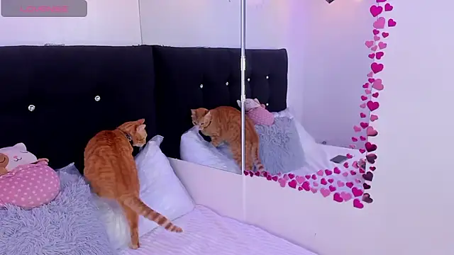 Anniie  Evans online show from 03-16-26, 05:05