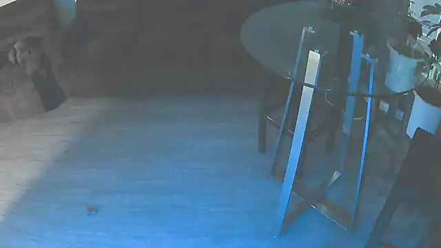 Fuckmehardandcloudy online show from 01-18-26, 11:41