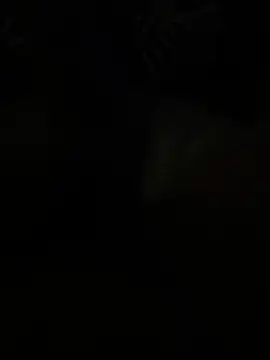 Erickhotddjots online show from 05-20-26, 07:16