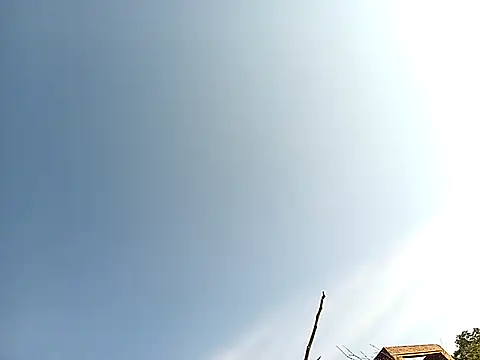 lilpip online show from 11-27-25, 04:02