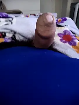 Snapshot of Flati chatting on 01-09-26, 04:36 Flati online show from 01-09-26, 04:36