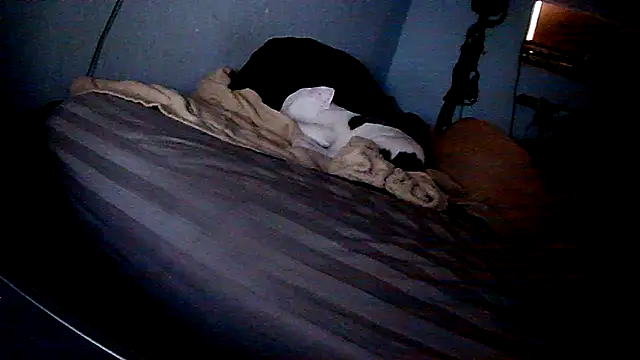 PornStro921 online show from 02-11-26, 08:20