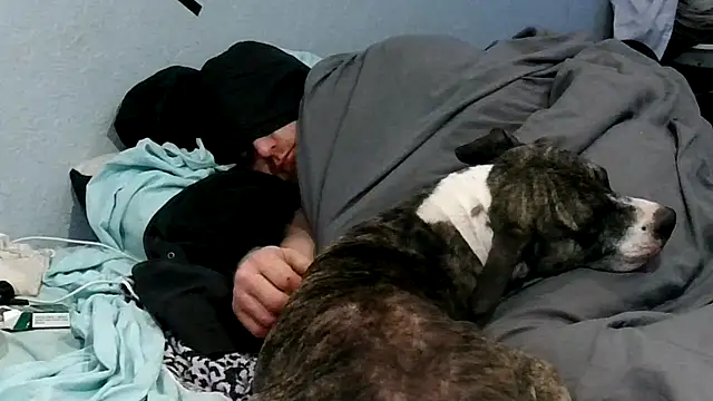 PornStro921 online show from 10-05-25, 06:42