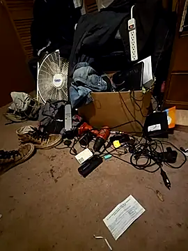 SillyRabbitz online show from 11-26-25, 07:30