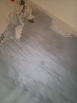 Snapshot of heena-3678 chatting on 09-24-25, 01:50 heena-3678 online show from 09-24-25, 01:50