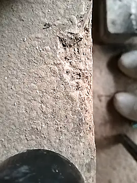 surfacespurt54 online show from 10-23-25, 09:41