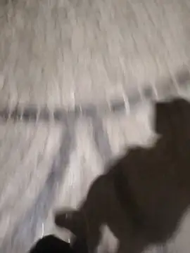 surfacespurt54 online show from 03-17-25, 11:35